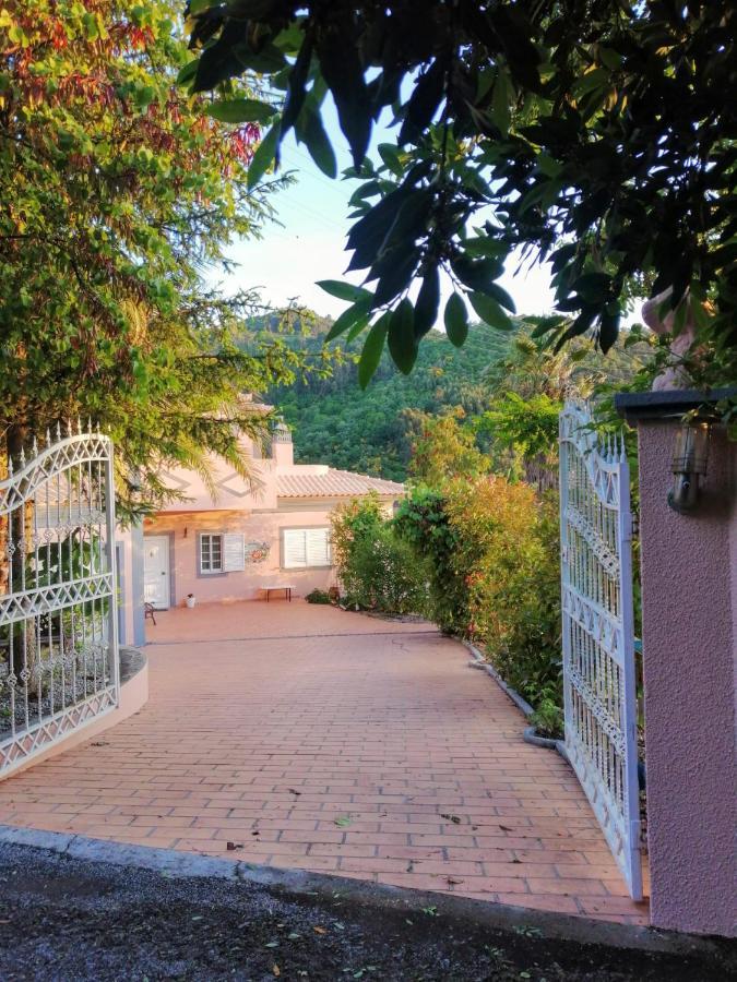 Casa Loureiro - Vista Rio Douro Villa Resende Exterior foto